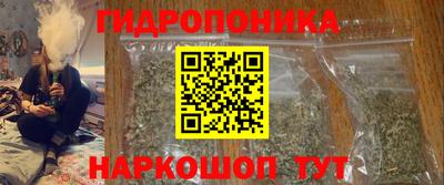spice Краснознаменск
