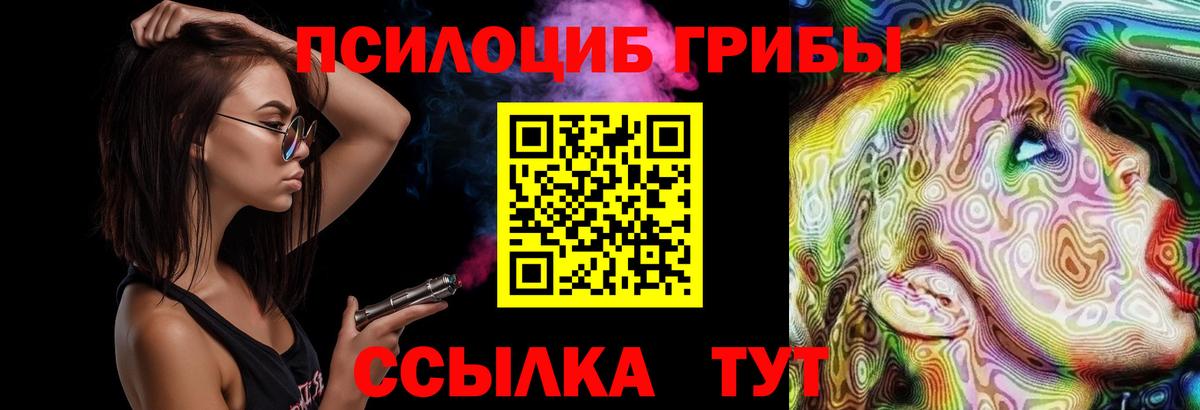 Псилоцибиновые грибы мицелий  Псилоцибиновые грибы Psilocybine cubensis  Вход с VPN  Йошкар-Ола 