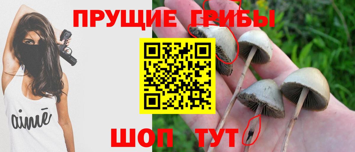 Псилоцибиновые грибы прущие грибы Йошкар-Ола
